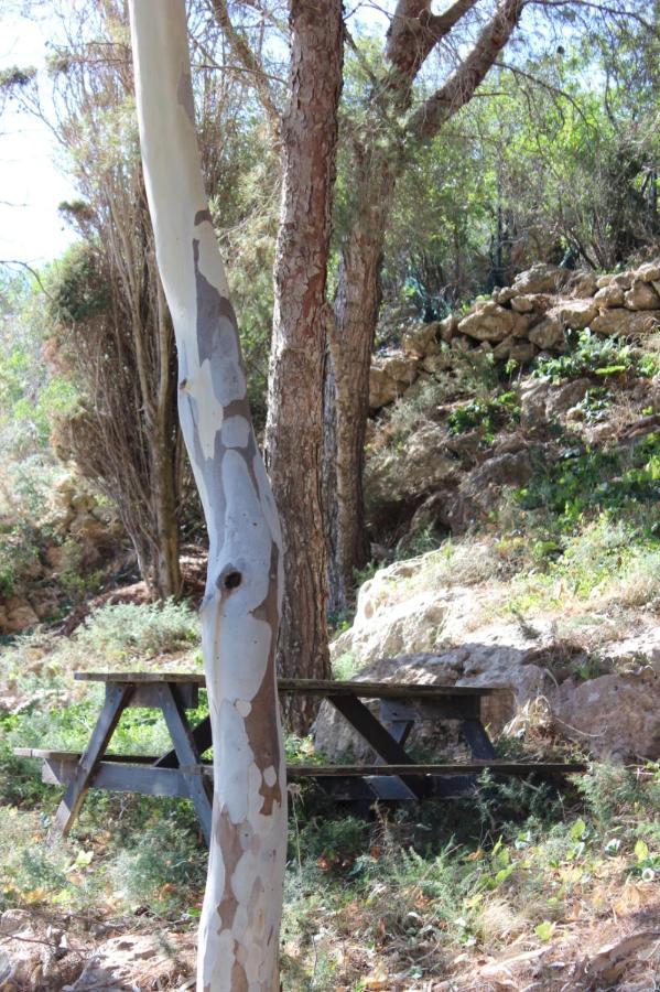 La Pineta Βίλα Φαβινιάνα Εξωτερικό φωτογραφία