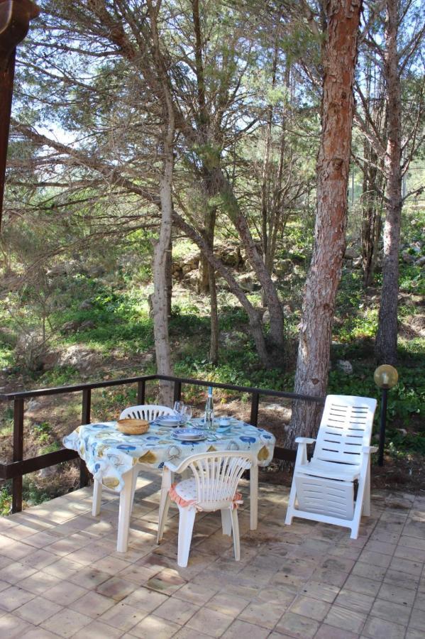 La Pineta Βίλα Φαβινιάνα Εξωτερικό φωτογραφία